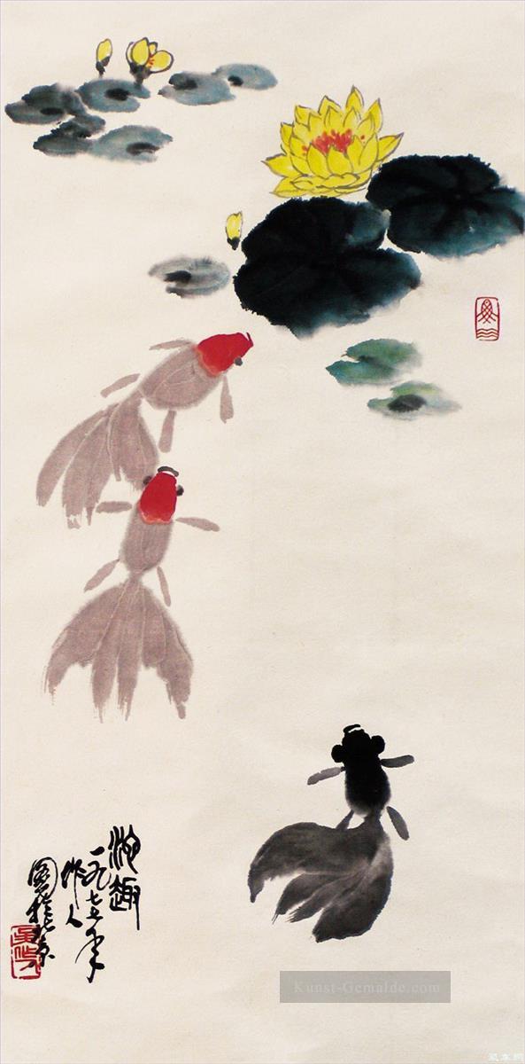 Wu Zuoren bunten Goldfisch Chinesischer Malerei Ölgemälde